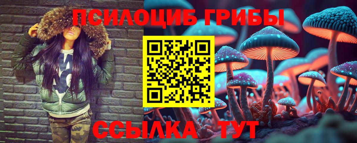 Псилоцибиновые грибы Psilocybine cubensis Тайшет