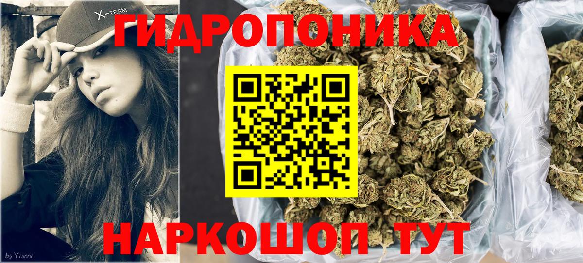 Марихуана индика  Вход с VPN  Бошки Шишки гибрид  Бошки марихуана White Widow  Тайшет  Канабис LSD WEED 